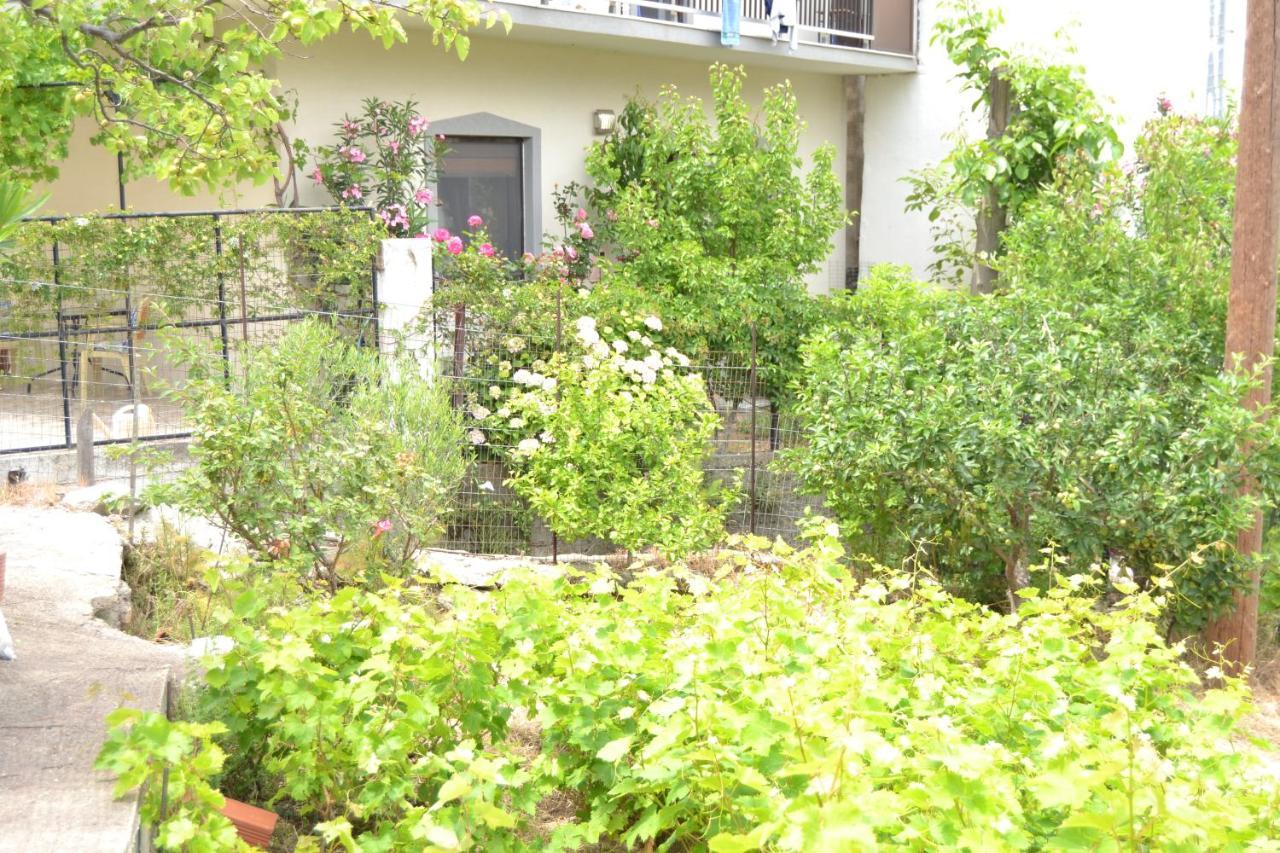 Lazatka Flat In Capital Chora Leilighet Samothráki Eksteriør bilde